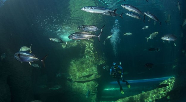 What to do in winter in SA