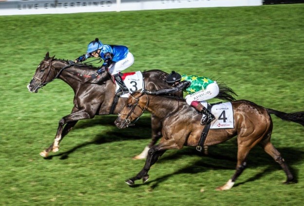 Equinity launches in Johannesburg