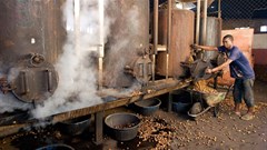 AfDB committed to building resilience of African agriculture