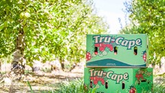 Tru-Cape's successful harvest tempered by currency volatility