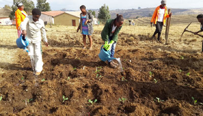 Sappi’s Highflats foresters repurposed their skills to plant cabbages, spinach, beetroot and carrots to ensure a fresh supply of veggies at the Thathane Crèche in the Kwa-Thathane community near Ixopo.