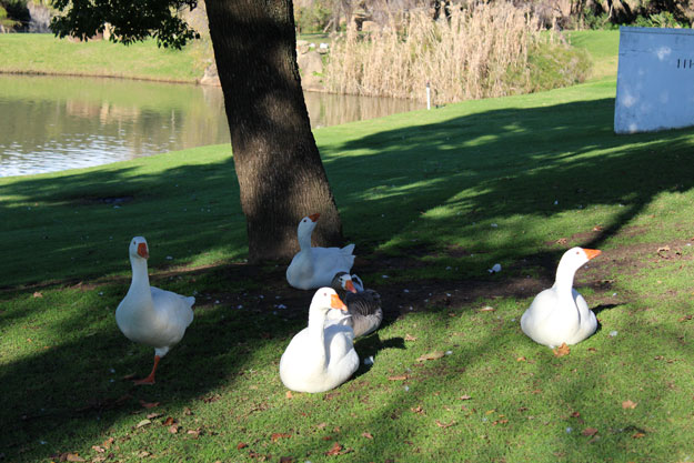 Old charm at Webersburg