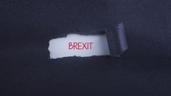 Will the Brexit conundrum really affect your property investments?