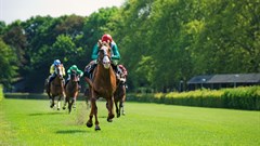 Taking a closer look at equine tourism