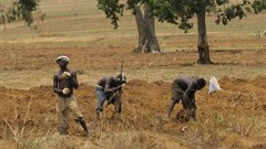 Mike Blyth via  - Farmers in Nigeria