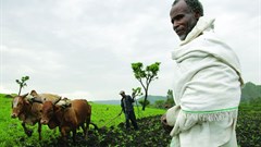 Stevie Mann via  - Ethiopia's Ghibe valley