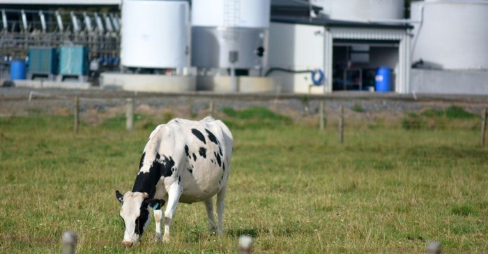 Finding opportunities in currency devaluation