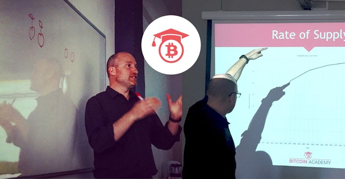 Image by Terry Levin