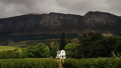 Chris Snelling via  - Buitenverwachting and vineyards, Constantia