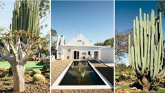 #WomensMonth: Business can be pretty