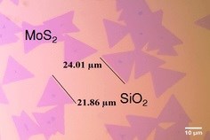 Single layers of molybdenum sulfide (MoS2) on glass (SiO2). Scale bar is 10 micrometers (µm). Peter Byrley