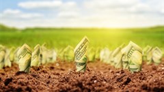 Bankable African agri-projects lead to investment