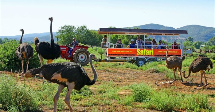 #CapeCountryRoutes: make a road trip of it