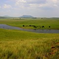 First protected area declared in Free State