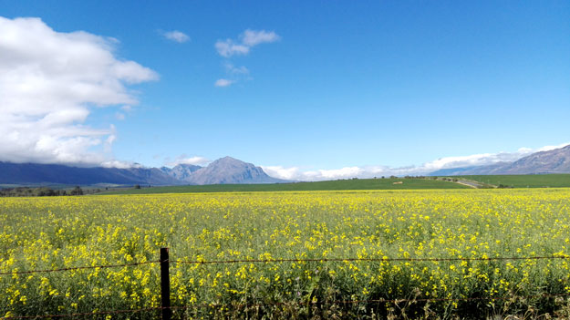 Spend a weekend in Tulbagh