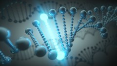 The future DNA of digital agencies