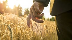 Over $600 million worth of agri-projects to be presented at African Agri Investment Indaba