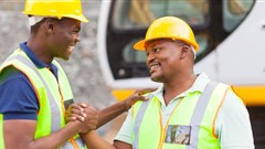 Zim reviews mining fees