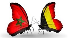 EU court was wrong to overturn Morocco trade pact: lawyer