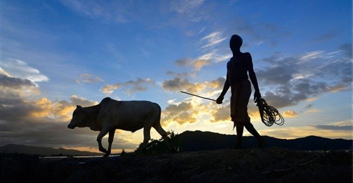 Young Africans moving from the office to the farms