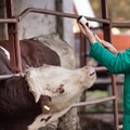 Addressing antimicrobial resistance on our farms and in our food
