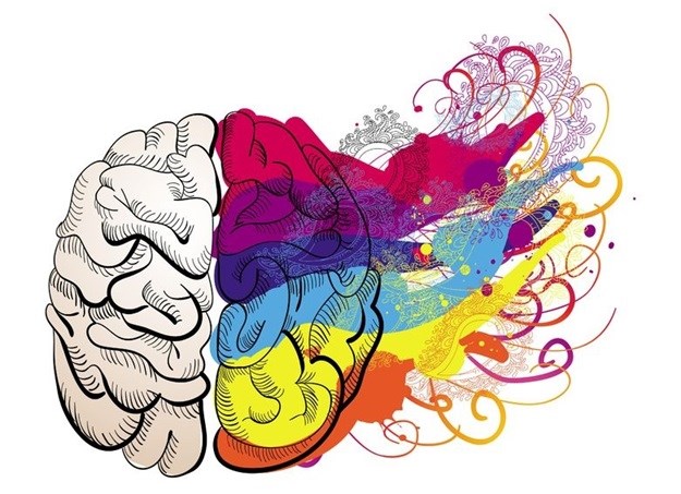 UCT blends art and commerce with new Humanities major