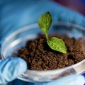#InnovationMonth: Soil treatment that's just right