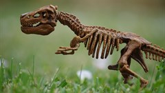 Are the dinosaurs dead, dad?