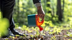 #AgriIndaba: turning pledges into businesses, boosting African agriculture