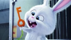 Uncover the delightful 'Secret Life of Pets'