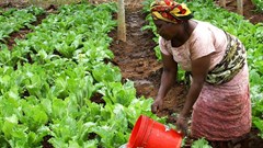 USAID Africa Bureau via