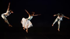 Magic happening at the 12th Baxter Dance Festival