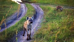 Twelve reasons why you should explore Selinda