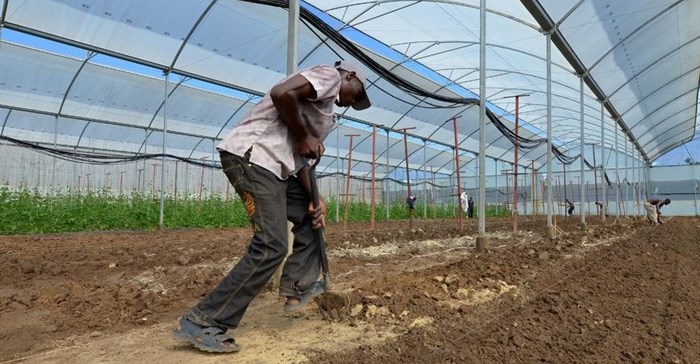 27 African countries adopt the Marrakesh Declaration