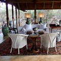 Royal Malewane bush luxury at the very top of the food chain
