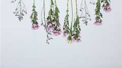 Conteu Magazine to launch special print edition