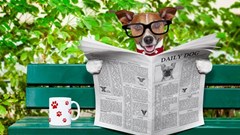 Measure people not ships