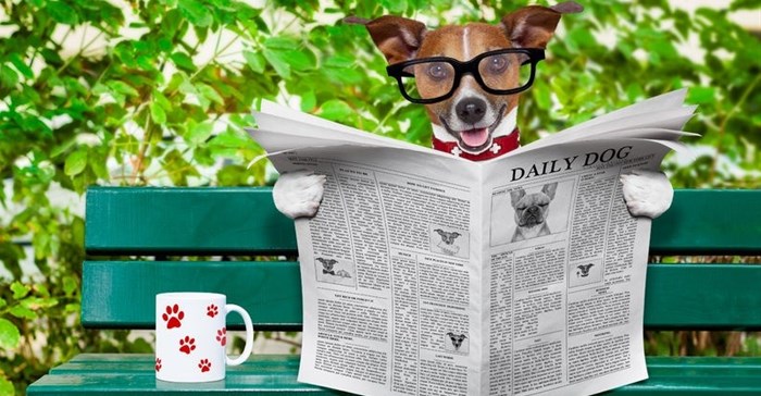 Measure people not ships