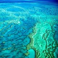 Barrier Reef report card paints bleak picture