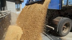 Grain Council calls for sensitisation on rules of origin