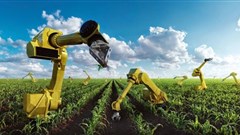 Right technology is not always within reach for African farmers