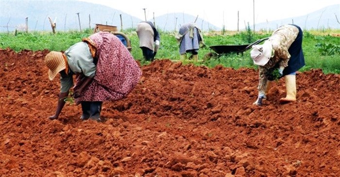 South African minister commends pro-women agri initiative