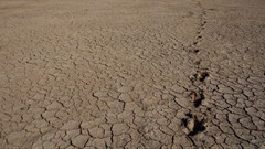 Severe Southern African drought to worsen: UN