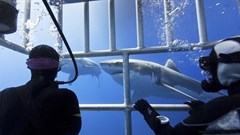 Adventure ideas for your next holiday to Africa