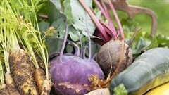 Organic farming gets a bad rap - why it shouldn't