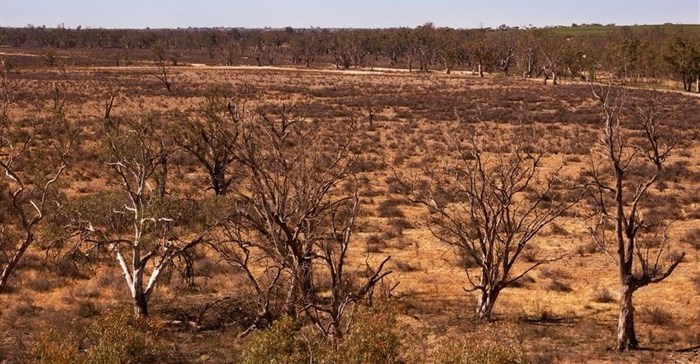 Millions need food aid because of high prices, drought