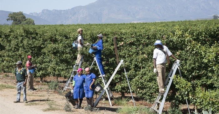 Agro-processing incentives to boost jobs and economy