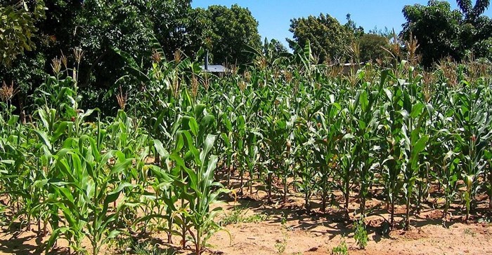 SuSanA Secretariat via