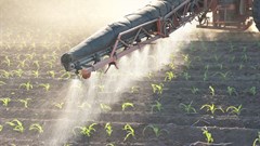 Fertilisers can help African farmers battle climate change