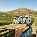 LDI reaffirms commitment to transparent negotiations with farm workers